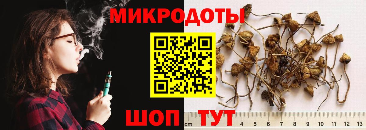 Галлюциногенные грибы Psilocybe  Вход с VPN  Анапа  где можно купить   Псилоцибиновые грибы прущие грибы 
